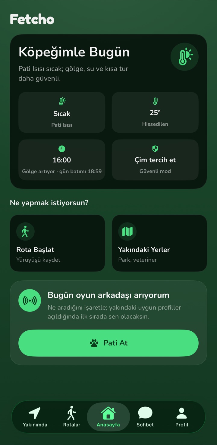 Fetcho anasayfası: Pati Isısı ve bugünün en iyi yürüyüş saati