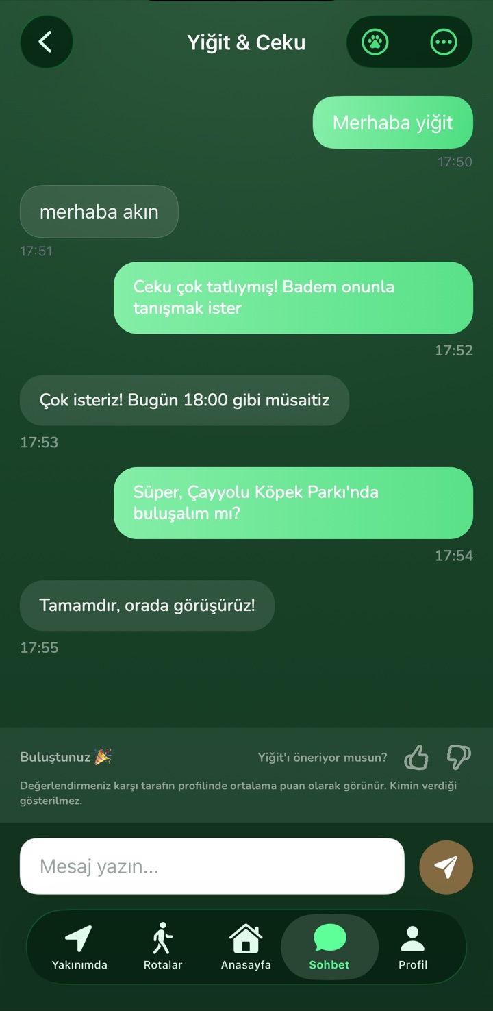 Sohbet ekranı: buluşma planlayan iki köpek sahibi